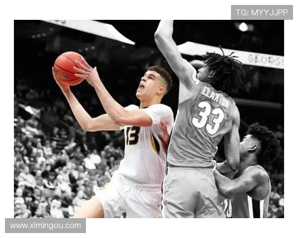 小波特谈纯素食与肉食NBA球员饮食选择的专业建议与平衡